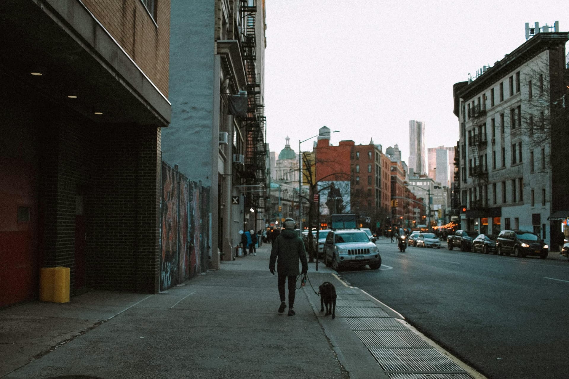 Grooming for City Pets: Pollution and Paw Care